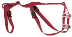 Prolapse Harness (red)