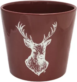 Ivyline Woodland Stag - 18cm