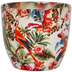 Ivyline Monza Tropical - 17cm