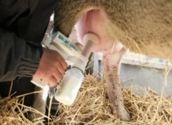 KERBL Udderly-ez Sheep Milker