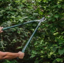 Westland Gardener's Mate Bypass Loppers