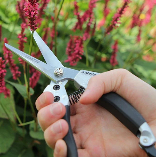 Darlac Compact Shear 1 Darlac Compact Shear