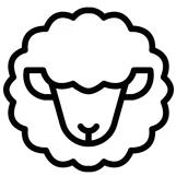 Hyundai || Hozelock || Wolf Shop